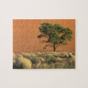 Afrika, Namibia, Namib-Nationalpark, Sossusvlei Puzzle