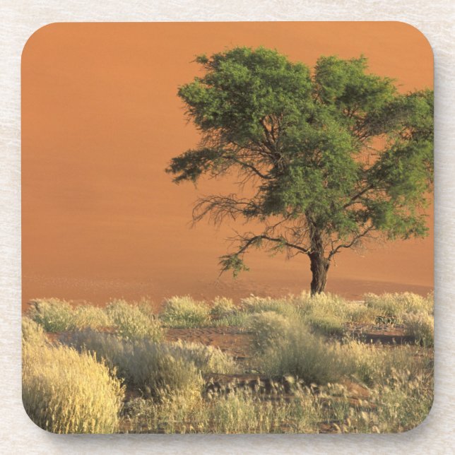 Afrika, Namibia, Namib-Nationalpark, Sossusvlei Untersetzer (Vorderseite)