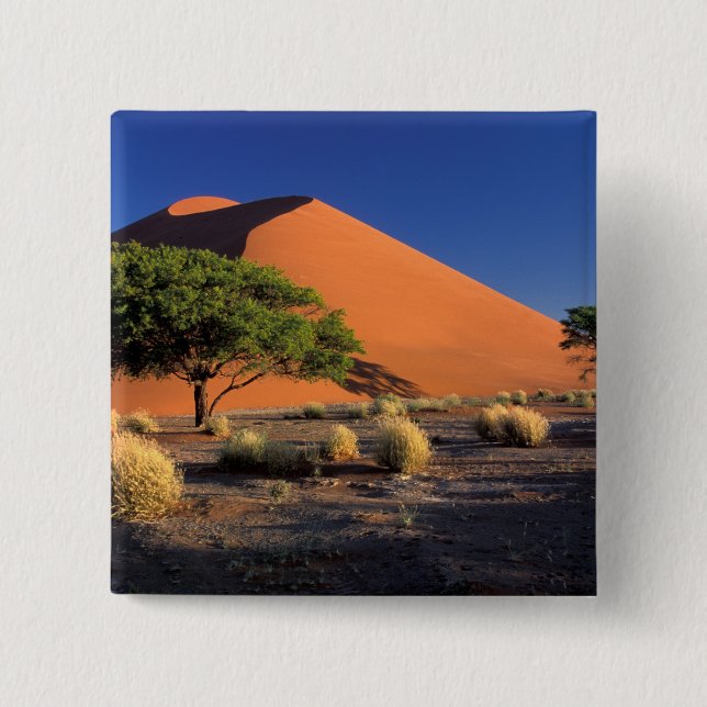 Afrika, Namibia, Namib-Naukluff-Park, Sossosvlei Button (Vorderseite)