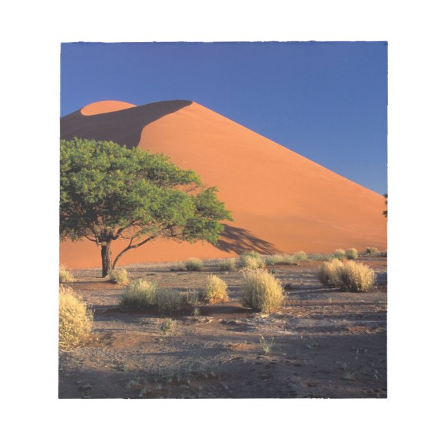 Afrika, Namibia, Namib-Naukluff-Park, Sossosvlei Notizblock (Vorderseite)