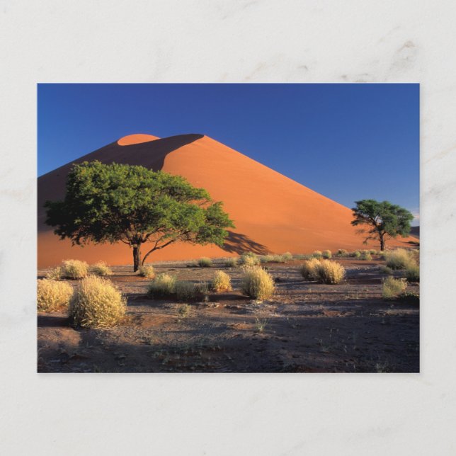 Afrika, Namibia, Namib-Naukluff-Park, Sossosvlei Postkarte (Vorderseite)