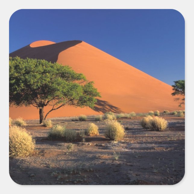 Afrika, Namibia, Namib-Naukluff-Park, Sossosvlei Quadratischer Aufkleber (Vorderseite)
