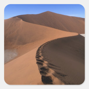 Afrika, Namibia, Namib Naukluft National Park, 2 Quadratischer Aufkleber