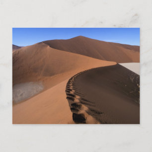 Afrika, Namibia, Namib-Naukluft-Nationalpark, 2 Postkarte