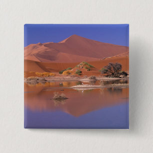 Afrika, Namibia. Namib-Naukluft Park.2 Button