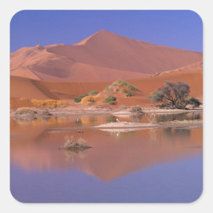 Afrika, Namibia. Namib-Naukluft Park.  2 Quadratischer Aufkleber