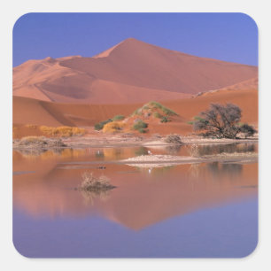 Afrika, Namibia. Namib-Naukluft Park. 2 Quadratischer Aufkleber