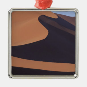 Afrika, Namibia, Namib Wüste. Sossusvlei. Silbernes Ornament