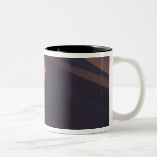 Afrika, Namibia, Namib-Wüste. Sossusvlei. Zweifarbige Tasse