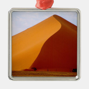 Afrika, Namibia, Naukluft National Park, 2 Silbernes Ornament