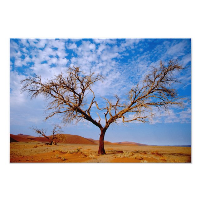 Afrika, Namibia, Naukluft National Park, Fotodruck (Vorne)