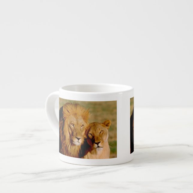 Afrika, Namibia, Okonjima. Löwe Espressotasse (Vorderseite Links)
