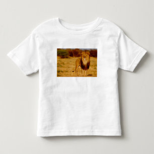 Afrika, Namibia, Okonjima. Löwe Kleinkind T-shirt