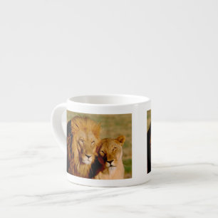 Afrika, Namibia, Okonjima. Löwe & Löwin Espressotasse