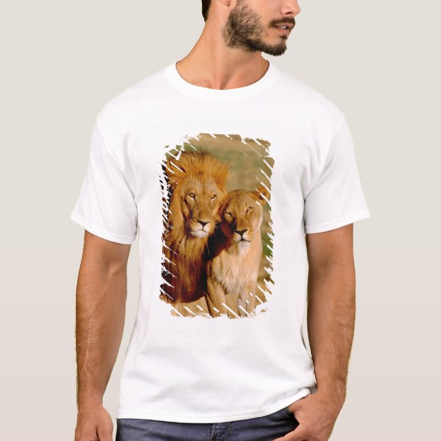 Afrika, Namibia, Okonjima. Löwe & Löwin T-Shirt (Vorderseite)