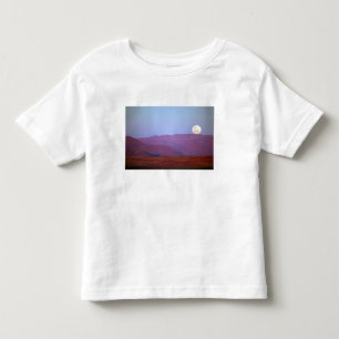 Afrika, Namibia, Sossusvlei. Ein Vollmond ruht Kleinkind T-shirt