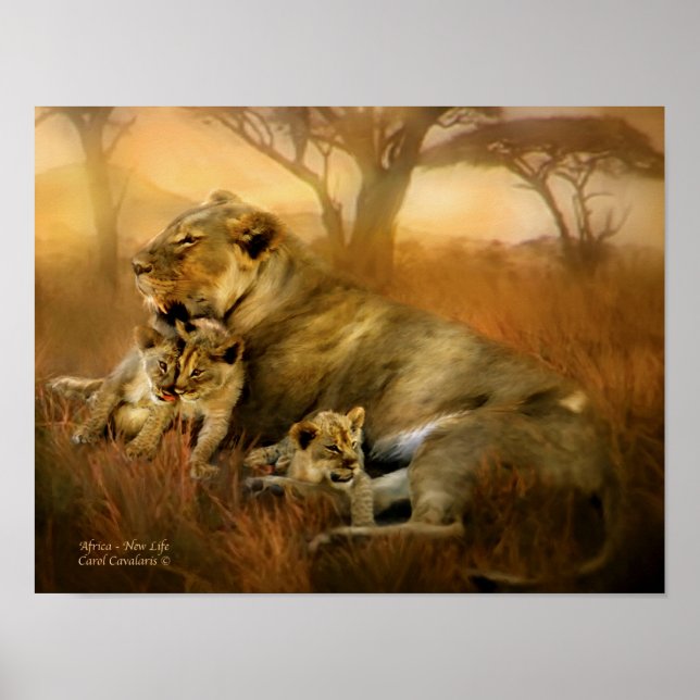 Afrika - Neues Life Art Poster/Print Poster (Vorne)