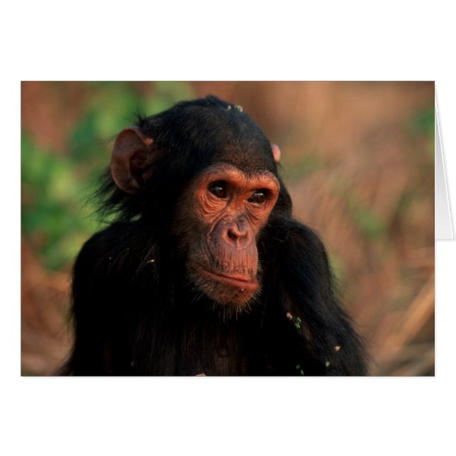 Afrika, Ostafrika, Tansania (Vorderseite (Horizontal))