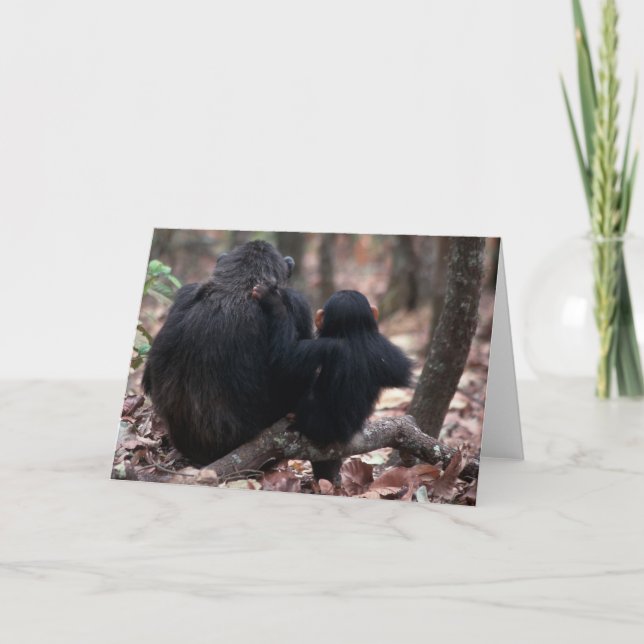 Afrika, Ostafrika, Tansania, Gombe Karte (Vorderseite)