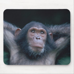 Afrika, Ostafrika, Tansania, Gombe-National Mousepad