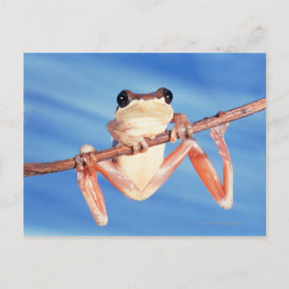 Afrika Postkarte