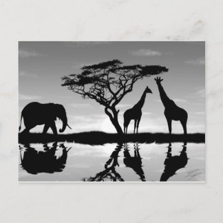 Afrika Postkarte