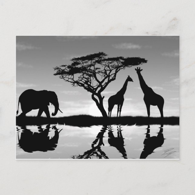 Afrika Postkarte (Vorderseite)