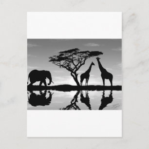 Afrika Postkarte