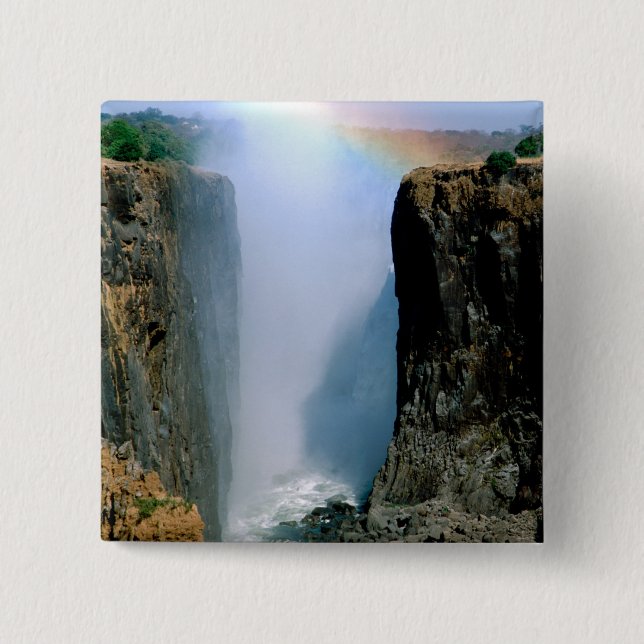 Afrika, Sambia, Victoria Falls National Park. Button (Vorderseite)