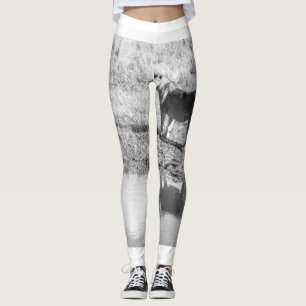 Afrika - Schwarz und Weiß - Löwenreflektion Leggings