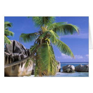 Afrika, Seychellen, La Digue Insel. Granit 2