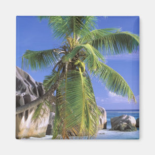 Afrika, Seychellen, La Digue Insel. Granit 2 Magnet