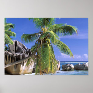 Afrika, Seychellen, La Digue Island. Granit Poster
