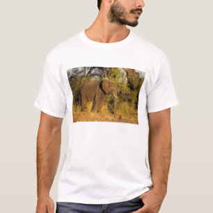 Afrika, Simbabwe, Victoria-Fälle-Nationalpark. T-Shirt