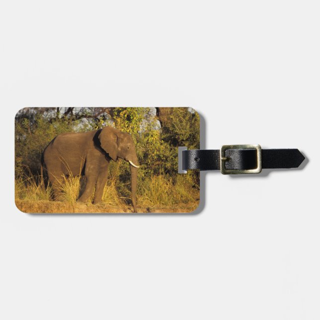 Afrika, Simbabwe, Victoria Falls National Park. Gepäckanhänger (Vorderseite horizontal)