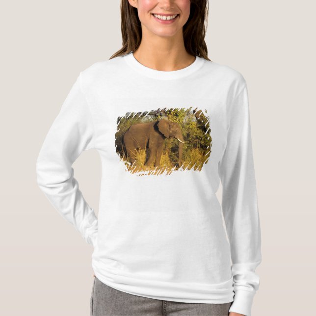 Afrika, Simbabwe, Victoria Falls National Park. T-Shirt (Vorderseite)