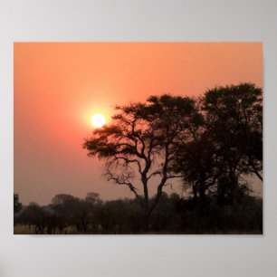 Afrika Sonnenuntergang Bäume Naturlandschaften Him Poster