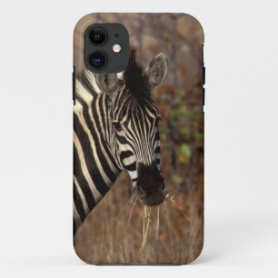 Afrika, Südafrika, Krüger NP Zebra-Portrait Case-Mate iPhone Hülle