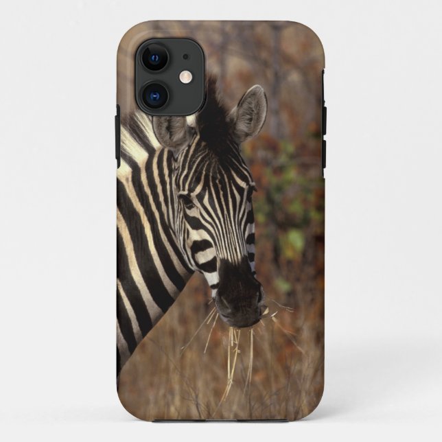 Afrika, Südafrika, Krüger NP Zebra-Portrait Case-Mate iPhone Hülle (Rückseite)