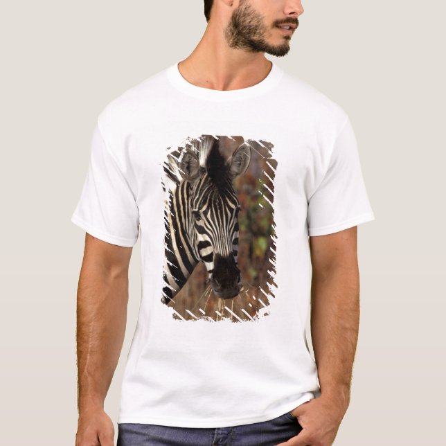 Afrika, Südafrika, Krüger NP Zebra-Portrait T-Shirt (Vorderseite)
