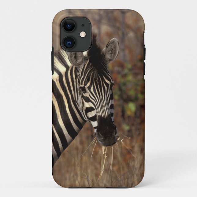 Afrika, Südafrika, Kruger NP Zebraporträt Case-Mate iPhone Hülle (Rückseite)