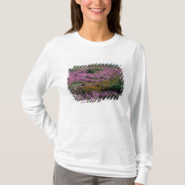 Afrika, Südafrika, Namaqualand, Orange und T-Shirt (Vorderseite)