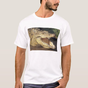 Afrika, Südafrika Nil-Krokodil T-Shirt