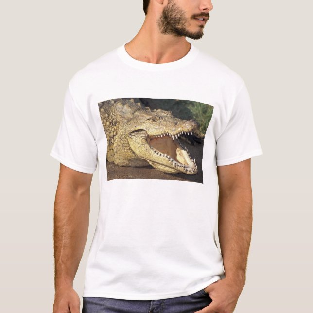 Afrika, Südafrika, Nilkrokodil T-Shirt (Vorderseite)