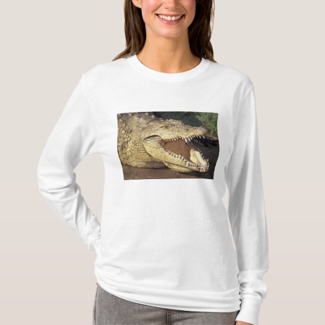 Afrika, Südafrika, Nilkrokodil T-Shirt (Vorderseite)