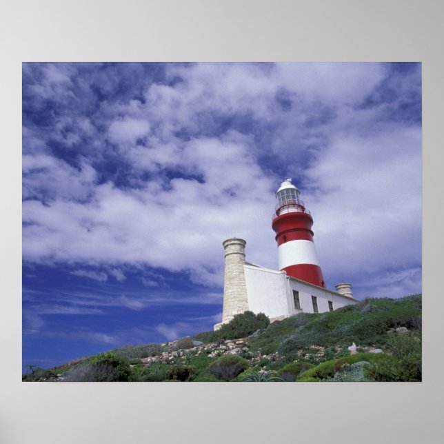 Afrika, Südafrika, Western Cape Poster (Vorne)