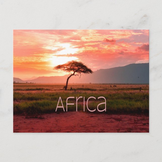 Afrika Sunset African Postkarte (Vorderseite)