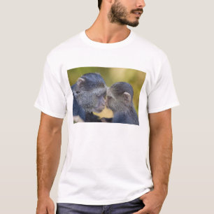 Afrika. Tansania. Blaffen Mutter mit Jungtier T-Shirt