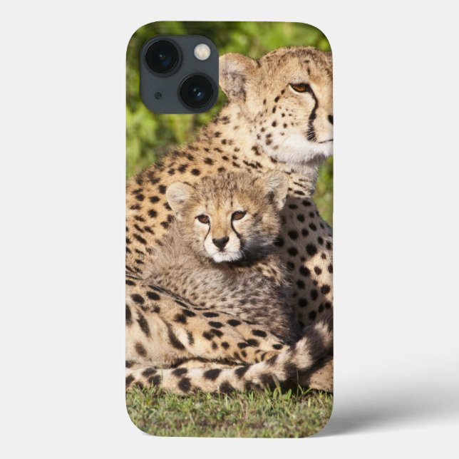 Afrika. Tansania Cheetah Mutter und Jungen 2 Case-Mate iPhone Hülle (Rückseite)