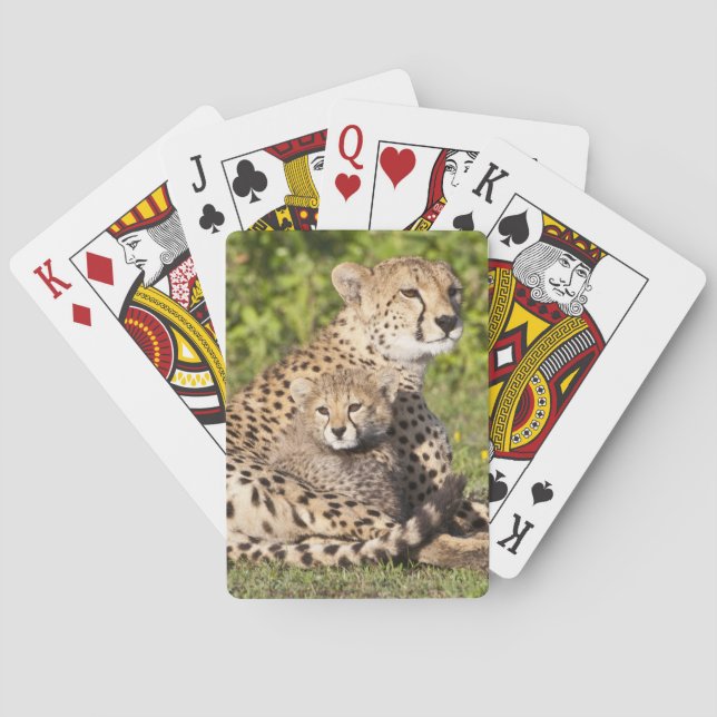 Afrika. Tansania Cheetah Mutter und Jungen 2 Spielkarten (Rückseite)